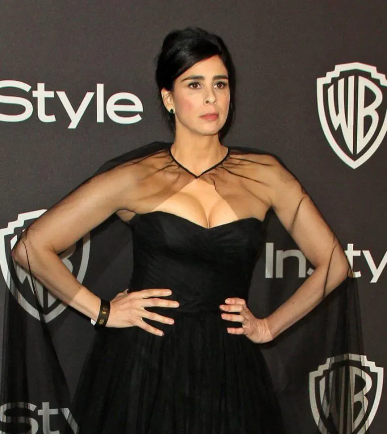 50 Sarah Silverman Hot And Sexy Bikini Pictures Hot Celebrities Photos