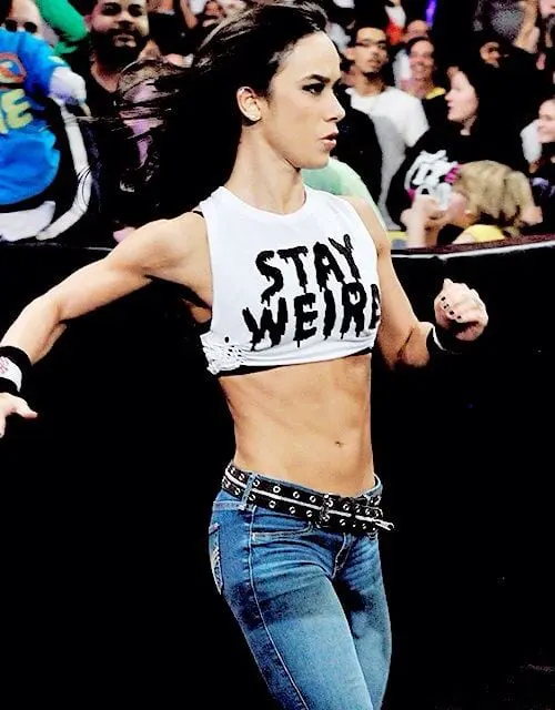 Wwe Aj Lee Hot Bikini Pics