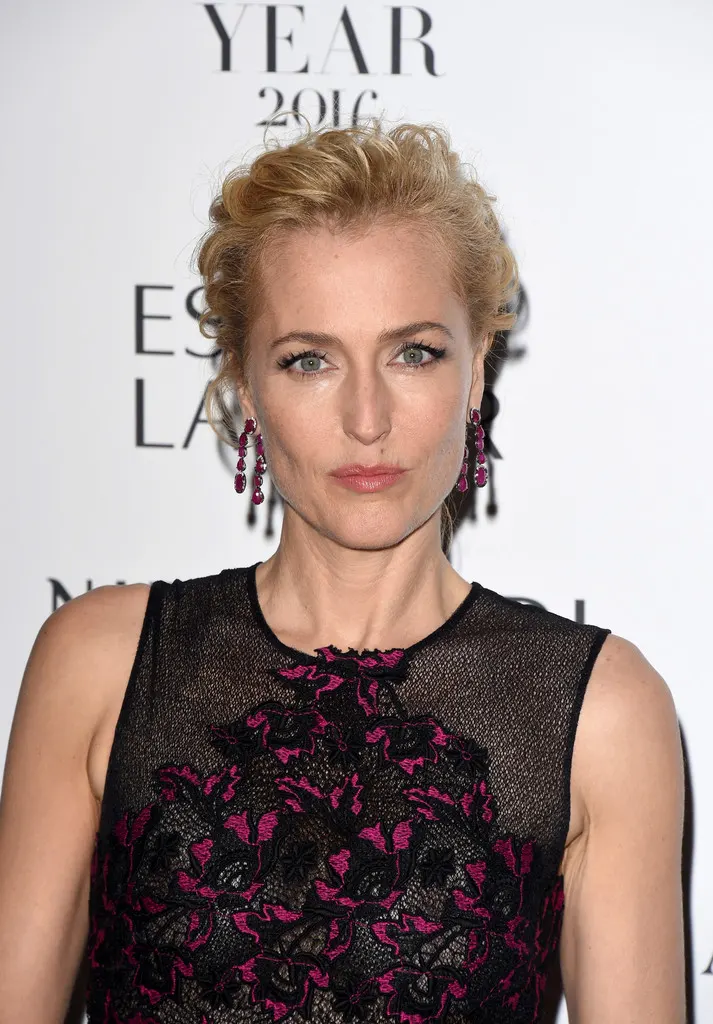 Looks-of-Gillian-Anderson