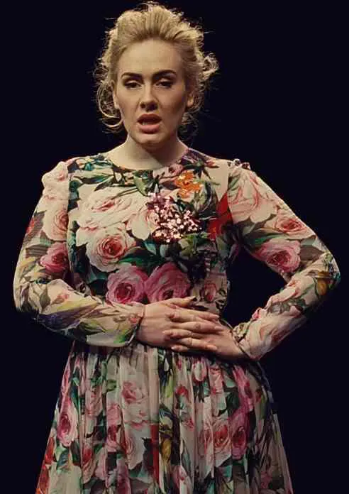 Sexy-Looks-of-Adele