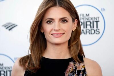 50 Stana Katic Sexy and Hot Bikini Pictures - Woophy
