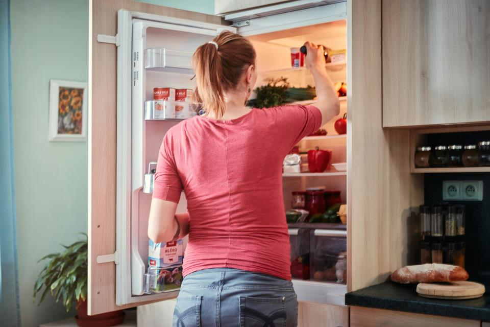 Why Refrigerator Maintenance Matters