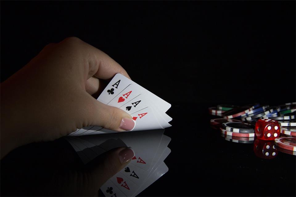 How Soft2Bet Turns Experience Into Expertise